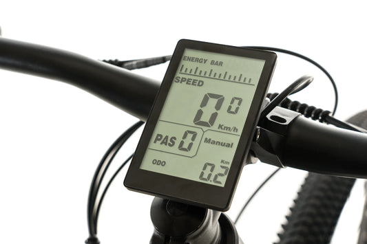 Avalanche Electric Bike MTE 29"