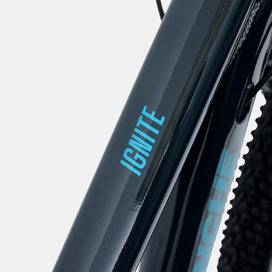 Avalanche Ignite 24" Bike