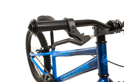 Avalanche Antix 20" Bike