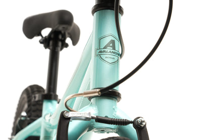 Avalanche Antix 20" Bike