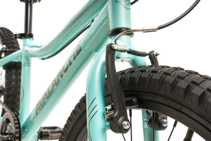 Avalanche Antix 20" Bike