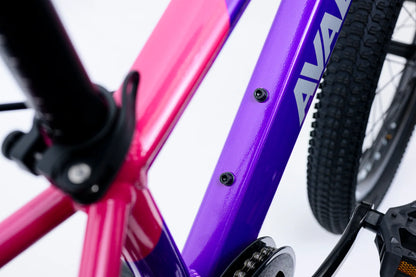 Avalanche Buzz 20" Bike