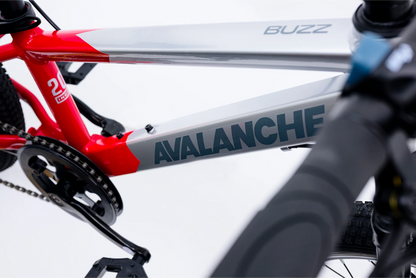 Avalanche Buzz 20" Bike