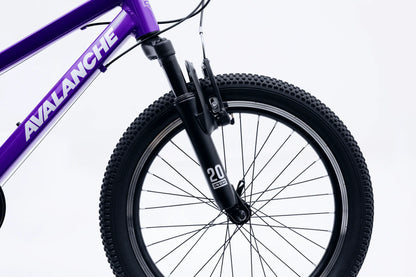 Avalanche Buzz 20" Bike