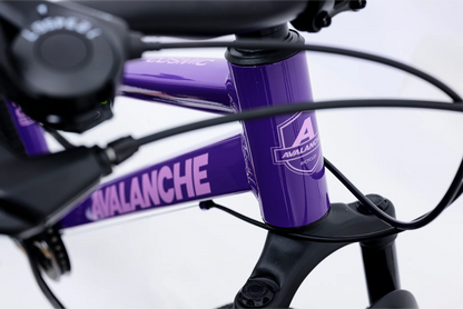 Avalanche Cosmic 24" Bike