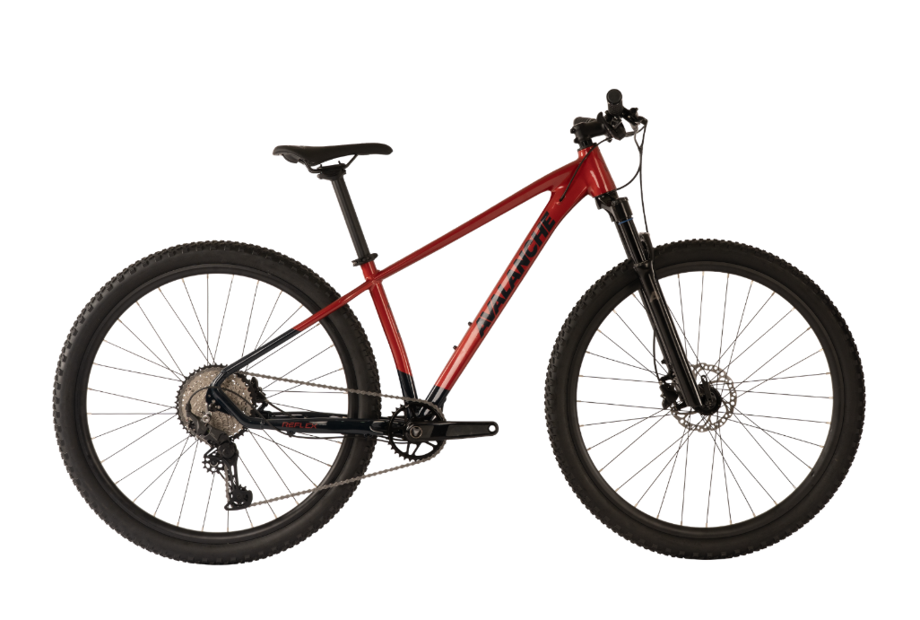 Avalanche Reflex Team 29" Bike