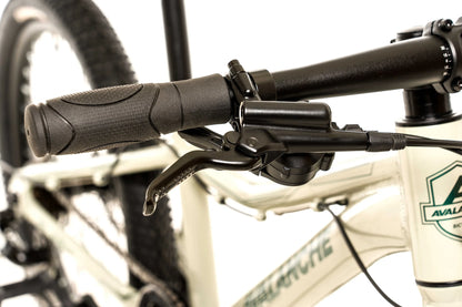 Avalanche Flash 20" Bike