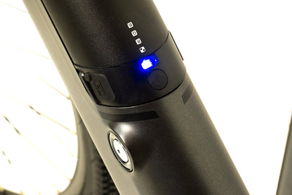 Avalanche MTE E-Bike
