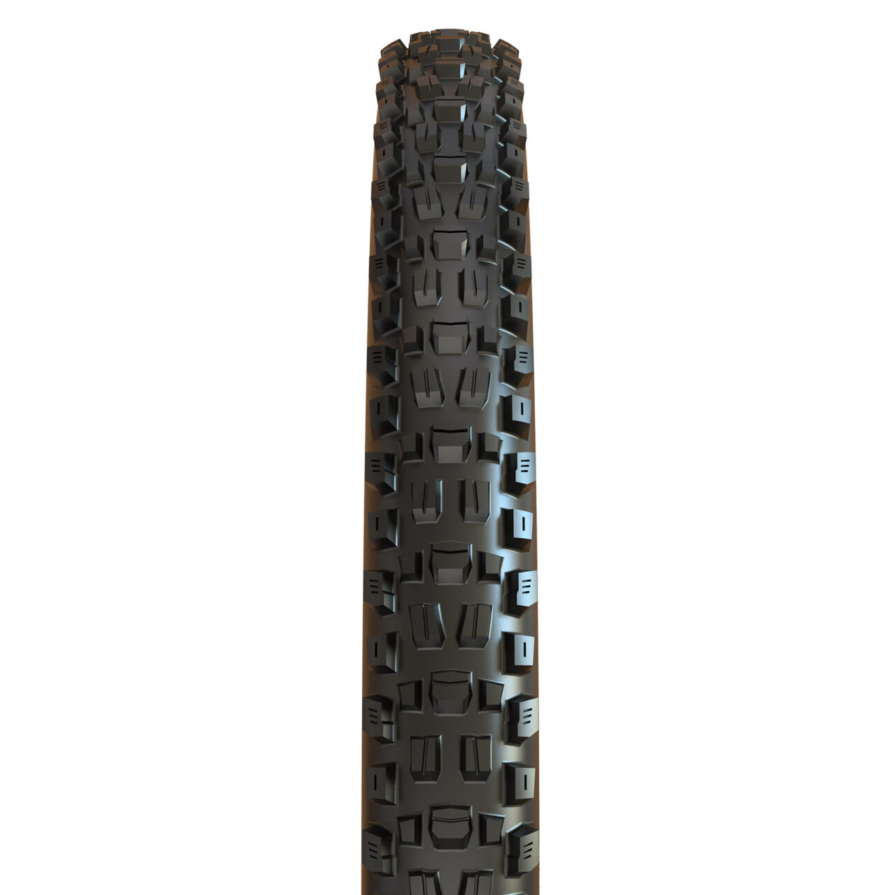 Maxxis Assegai 29 x 2.50 WT / MAXXTERRA / 3CT/EXO+/TR - Black
