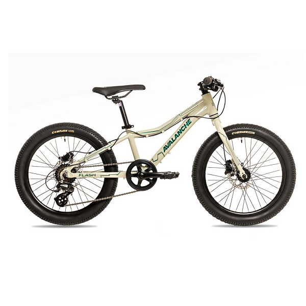 Avalanche Flash 20" Bike