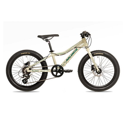 Avalanche Flash 20" Bike