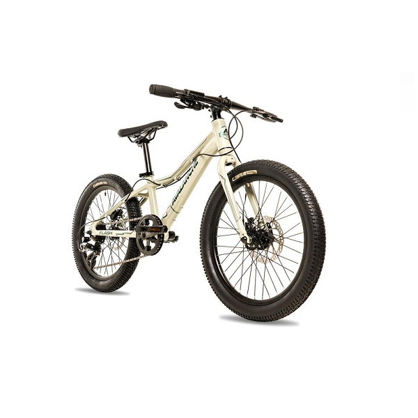 Avalanche Flash 20" Bike
