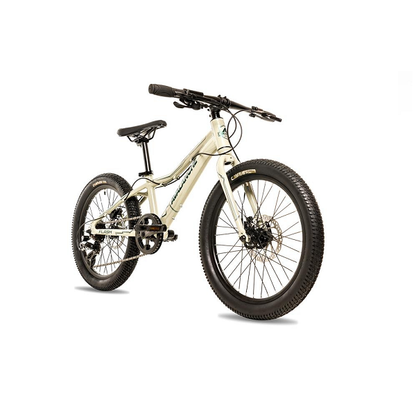 Avalanche Flash 20" Bike